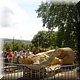 14 - Dresden - Hercules verblijft doorgaans 70m hoog, op de Raadhuistoren.jpg