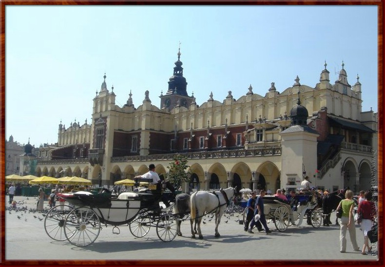 05 - Krakow - De Lakenhal.jpg