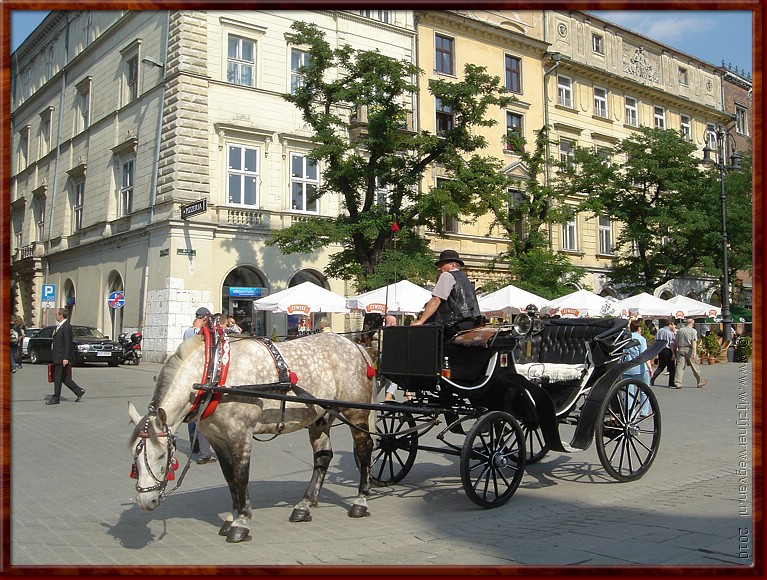 09 - Krakow - Weer geen gras!.JPG