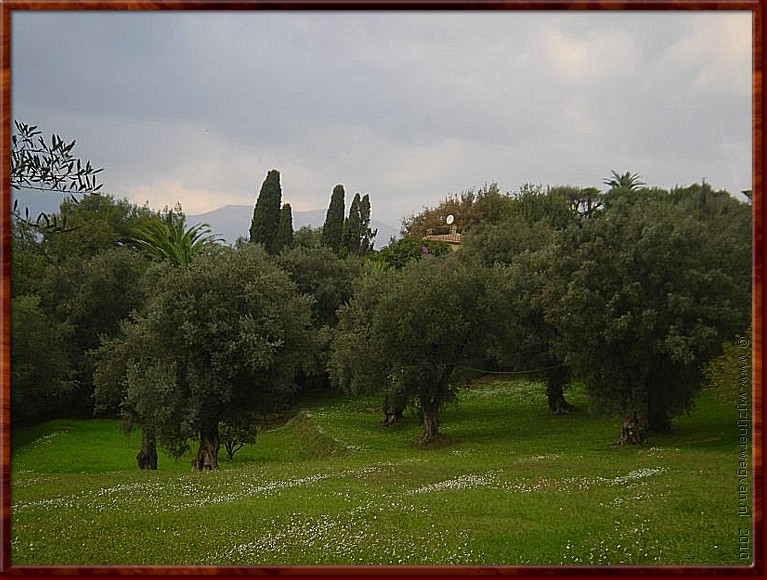09 - Cagnes sur Mer - Tuin van Renoir 2.jpg