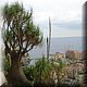 34 - Monaco - Jardin Exotique 1.jpg