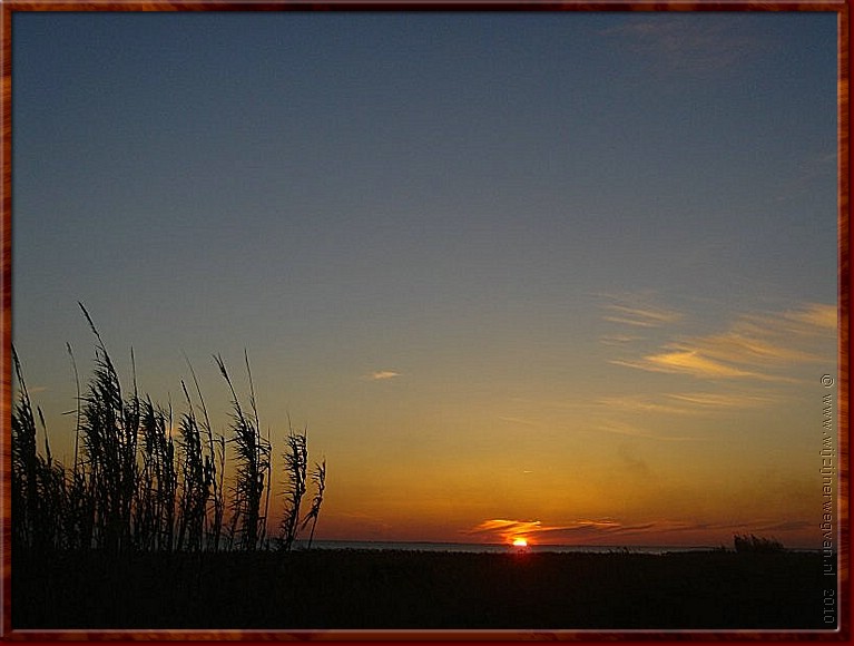 11 - Camargue - Etang de Vacars.jpg