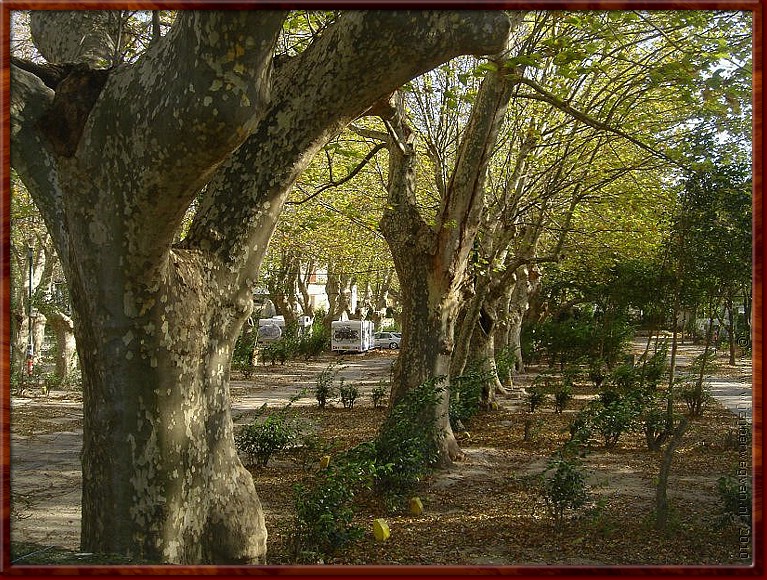12 - Avignon - Kamperen in het platanenbos.jpg