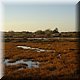 08 - Camargue 1.jpg