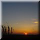 11 - Camargue - Etang de Vacars.jpg