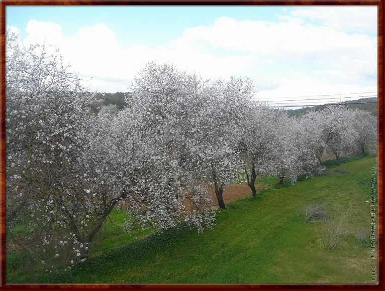 011 Winter in Portugal 1.jpg