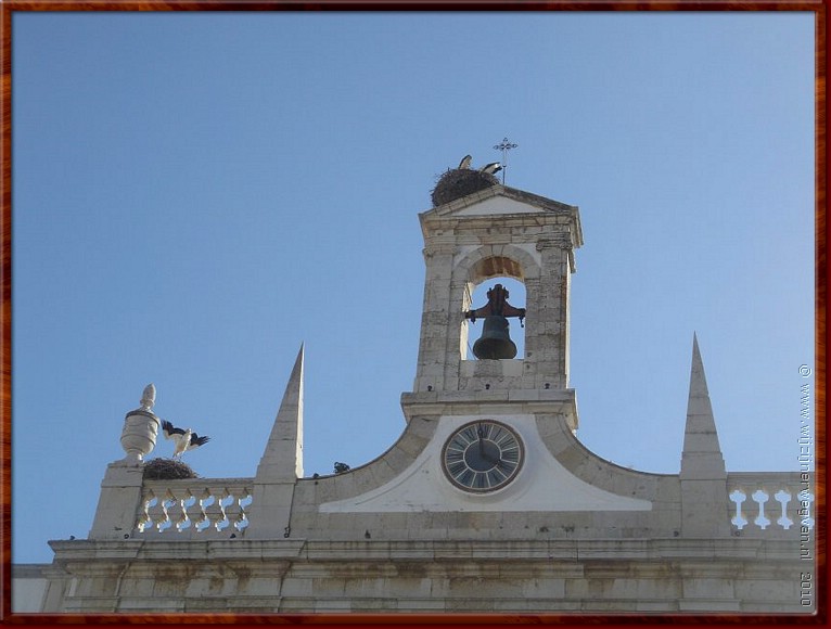 038 Faro - Ooievaars 1.jpg