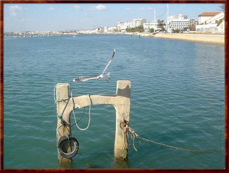 041 Faro - Vliegveld.jpg