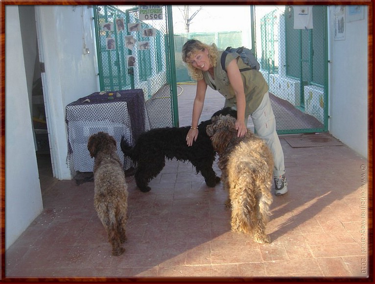 043 Olho - Portugese waterhonden.jpg