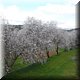 011 Winter in Portugal 1.jpg