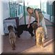 043 Olho - Portugese waterhonden.jpg