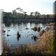 044 Olho - Ria Formosa natuurpark .jpg