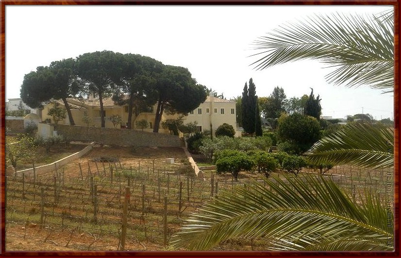 50 Guia - Cliff's villa.jpg