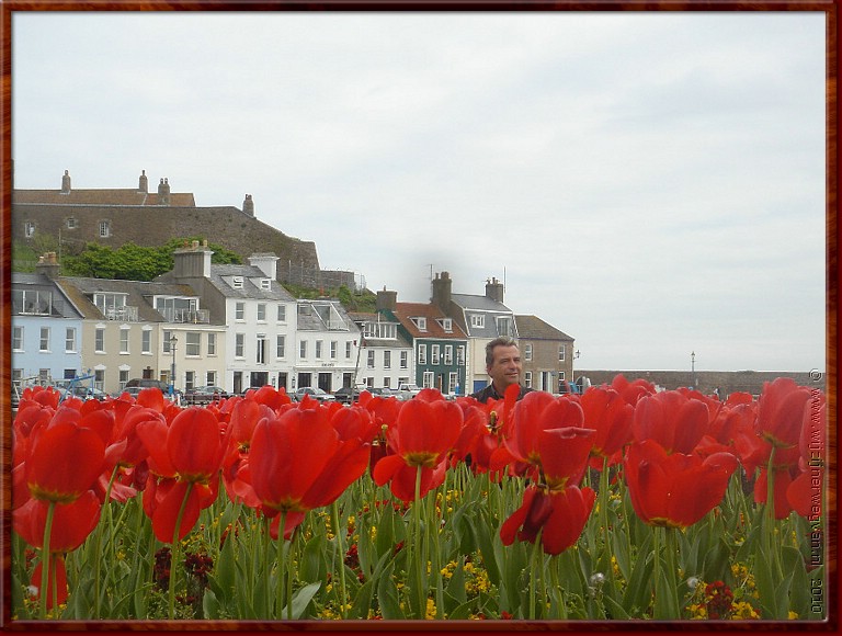 28 - Jersey - Tulpenbol.jpg