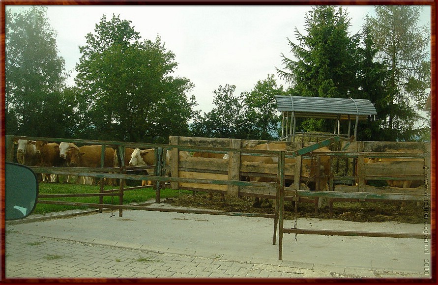 3 Neuhausen - Kamperen bij de boer.jpg