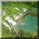 17 Plitvice - Waterpaden.JPG