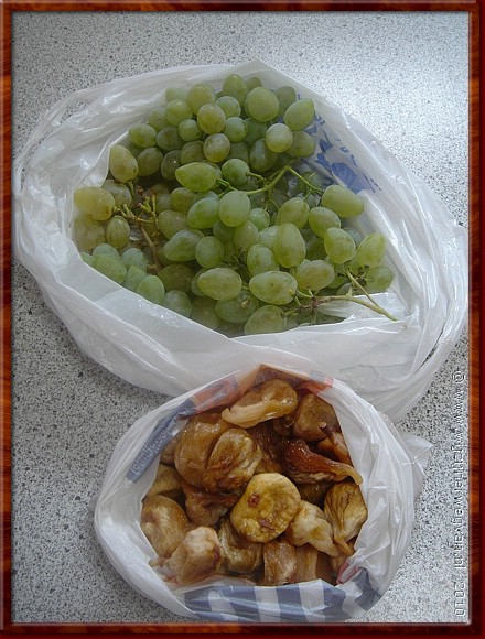 71 Grebastica - Natuurlijk hebben wij een eigen moestuin.JPG
