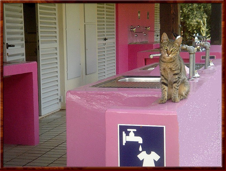 09 Hoezo - roze voor dames....jpg