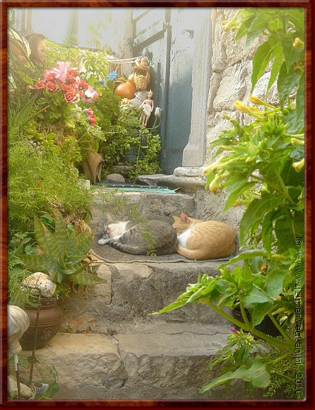 28 Dubrovnik - Home sweet home.JPG