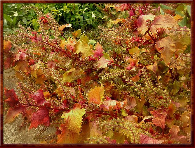 06 Herfst in Kto Gatza.jpg