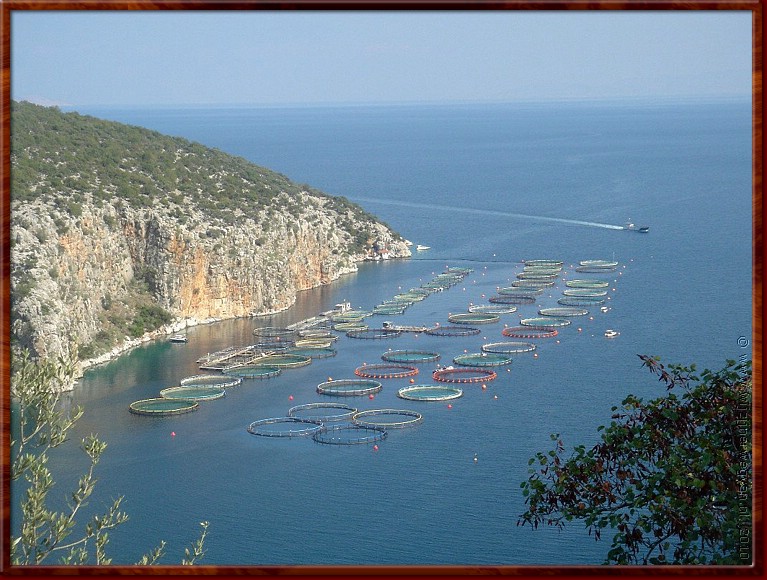 09 Korfos - Visboer.jpg