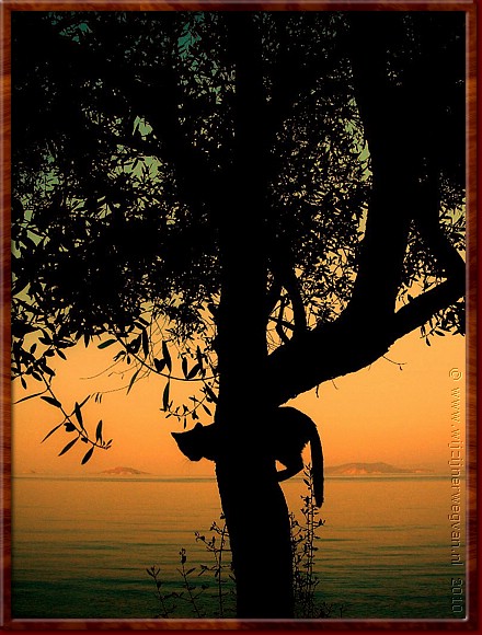 10 Epidavros - Silhouet.jpg