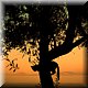 10 Epidavros - Silhouet.jpg
