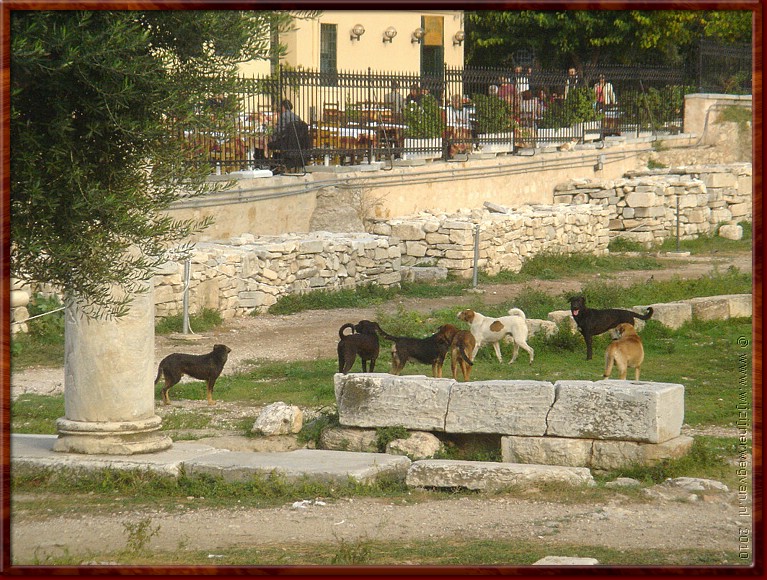 26 Athene - Romeinse Agora - Zwerfhonden scharrelen hun kostje bij elkaar in de runes van Athene.jpg