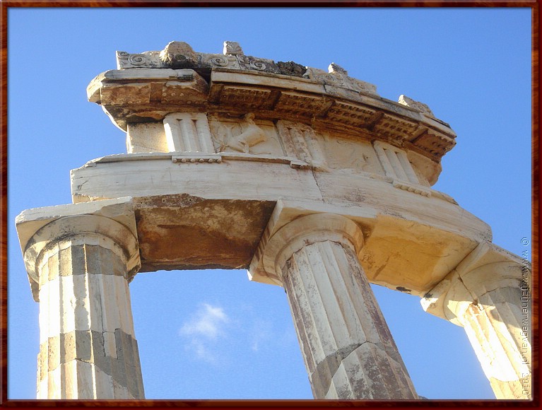 10 Delphi - Detail .JPG