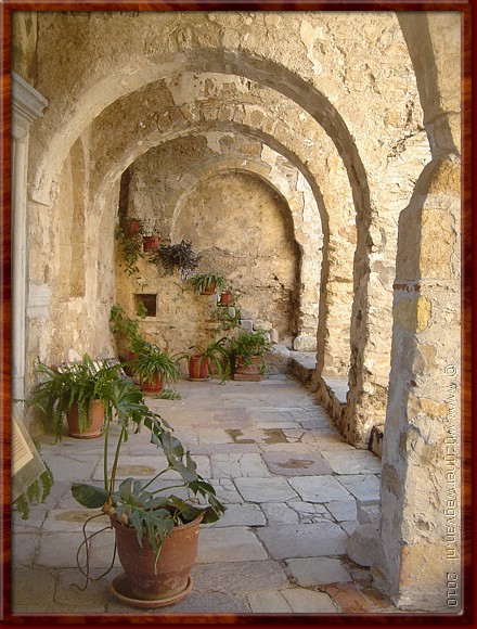 12 Mystrs - kloosterplanten.JPG
