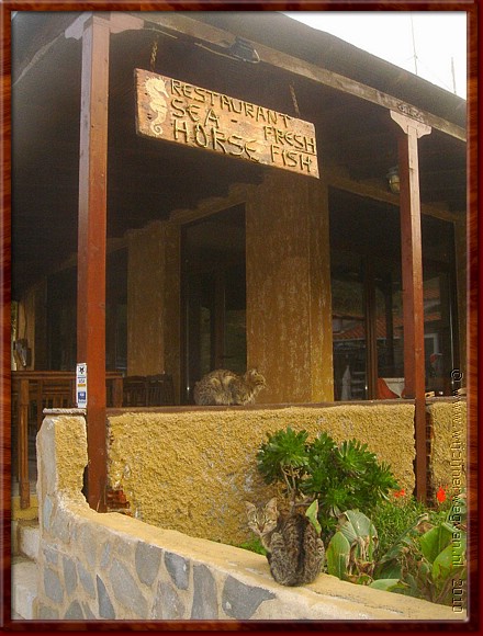 21 Prto Kgio - Stamgasten.jpg