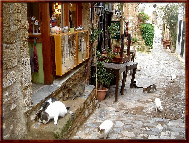 43 Monemvasia - Poezen op strooptocht.jpg