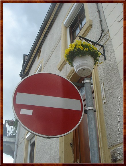 19.JPG