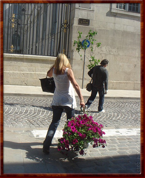 027 - Troyes - Zomaar zomer.JPG
