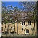 024 - Troyes - Lentetooi.jpg