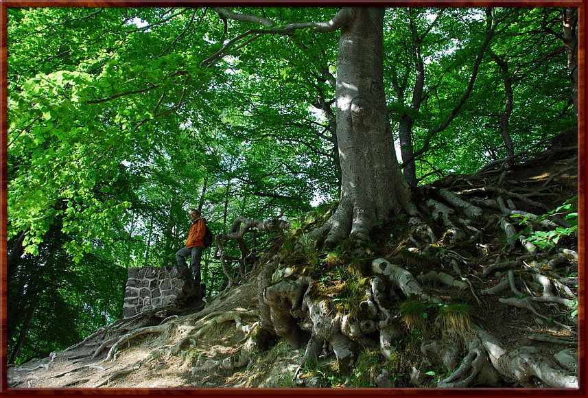 03 - Lac Chambon - ... en banen ons een weg door de wildernis ....JPG