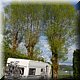 21 - Lac Chambon - Goed, de caravan staat een beetje scheef  .JPG