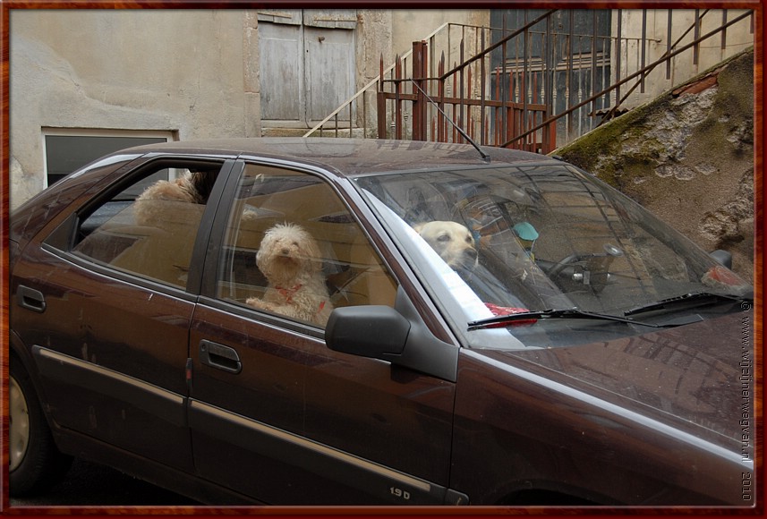 007 - Millau - Vast een Hond-a.JPG