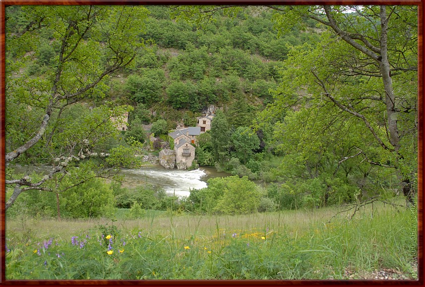 015 - Les Moulinets - Watermolens aan de Tarn.JPG
