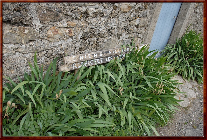 024 - Nant - Beste honden, respecteer onze planten.JPG