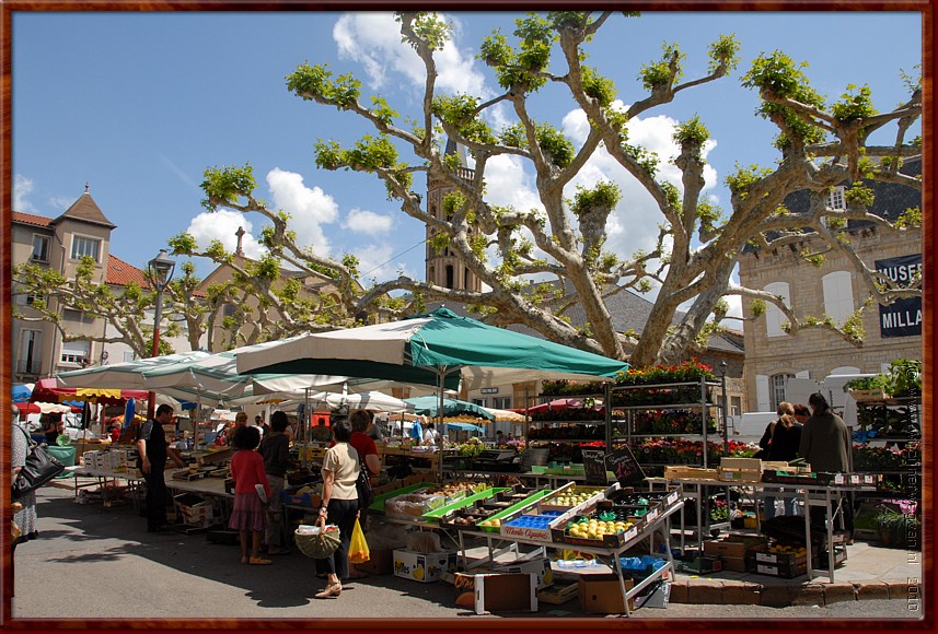 032 - Millau - Elke maandag - markt onder de platanen.JPG