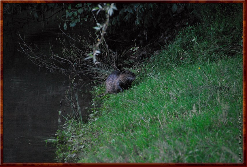 042 - Tarn rivier - Toilet maken.JPG