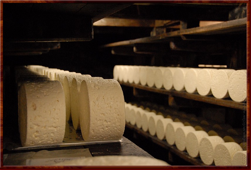 051 - Roquefort sur Soulzon - Kaasplankje.JPG