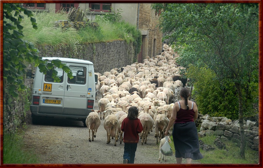 053 - Saint Jean d'Alcas - Kaasproducenten aan de wandel.jpg