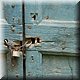 022 - Nant - Dicht.jpg