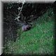 042 - Tarn rivier - Toilet maken.JPG
