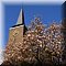 Hasselt  
Sint Stephanuskerk