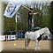 Hilvarenbeek
Safaripark Beekse Bergen    
'Animal Event'
Horse Planet
'Lol met je knol'