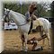 Hilvarenbeek
Safaripark Beekse Bergen    
'Animal Event'
Horse Planet
'The Dancing Unicorn', Via Equistra