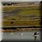 Hilvarenbeek
Safaripark Beekse Bergen   
Bootsafari      
Neushoorns